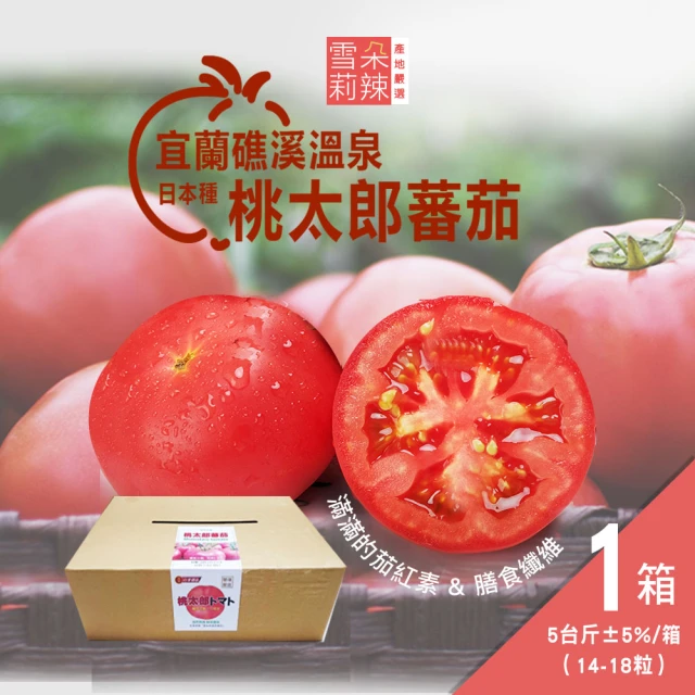 鮮食堂 台南鹽地番茄4箱(5斤/箱/微酸帶鹹)優惠推薦