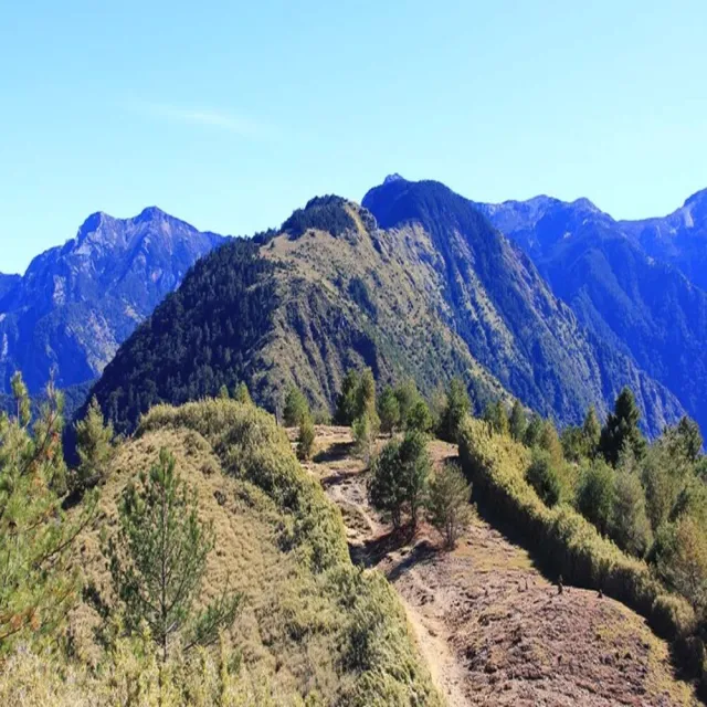 【吉航旅遊】深入布農塔塔加秘境微百岳健行秘境風華南投東埔帝綸嘉義觀止三日