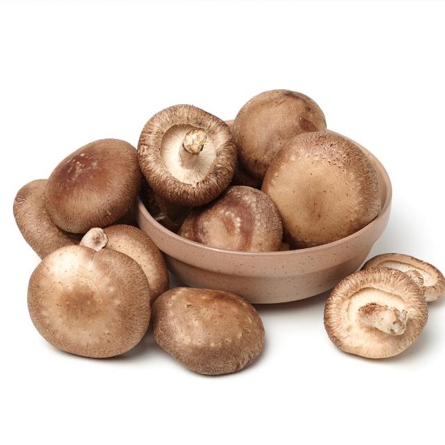 盛花園蔬果 南投埔里鮮香菇150g x3盒(溫控環控栽培)