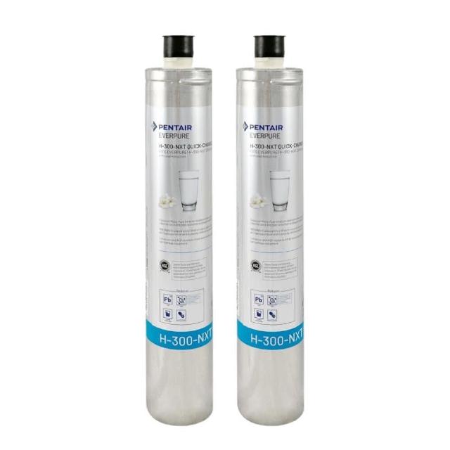 【PENTAIR濱特爾】EVERPURE H300NXT 美國原廠進口 平行輸入(H300NXT*2入裝 濾芯 濾心)