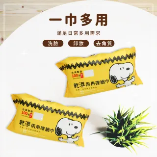 【收納王妃】SNOOPY 史努比 乾濕兩用巾 乾濕洗臉巾 洗臉巾 100抽 網孔(40入/箱)