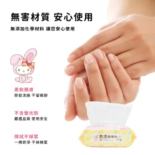 【收納王妃】Sanrio 三麗鷗 兔年 一次性 乾濕兩用巾 乾濕兩用洗臉巾 洗臉巾 100抽(40入/箱)