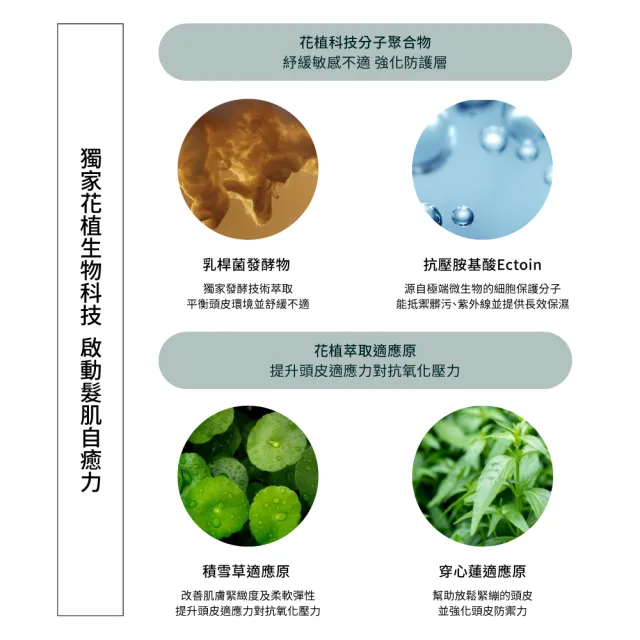 【AVEDA】蘊活淨瑕舒敏菁萃50ml(全新頭皮保養 呵護髮肌齡)