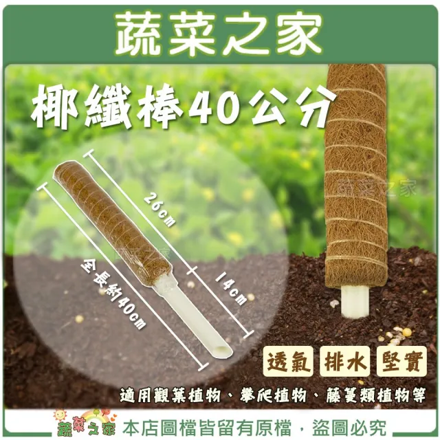 【蔬菜之家】椰纖棒 40公分-可串接式(塑膠中柱防霉.攀爬類植物.水苔棒.椰纖柱.椰棒)