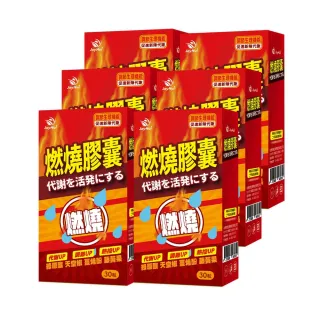 【JoyHui佳悅】防彈燃燒代謝膠囊x6盒(30粒/盒；含非洲芒果籽+藤黃果)