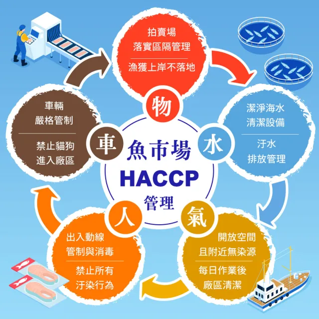 【戀戀蚵仔寮x真匯吃】極鮮石斑三享組合(石斑清肉、頂級龍膽石斑骰子、石斑魚頭丁)