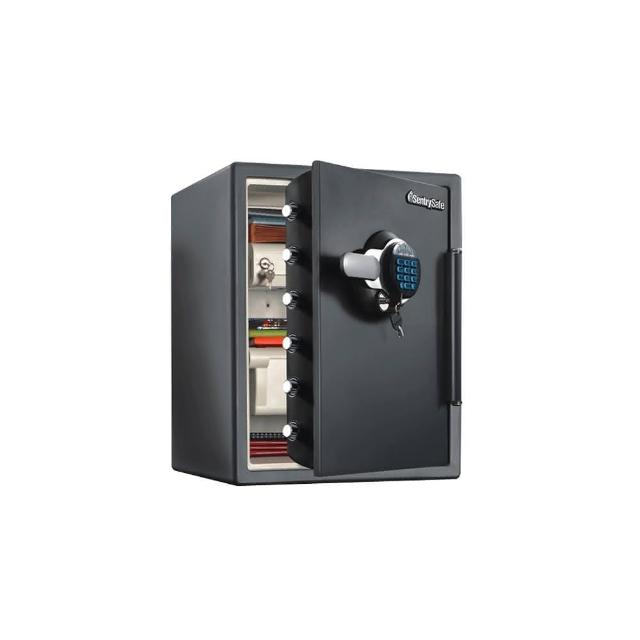 Sentry Safe STW205GYC