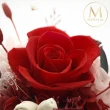 【Floral M】All About Rose 初夏之夢玫瑰永生香氛擴香花禮 贈送5ml香氛油(花禮/盆花/永生花/擴香花)