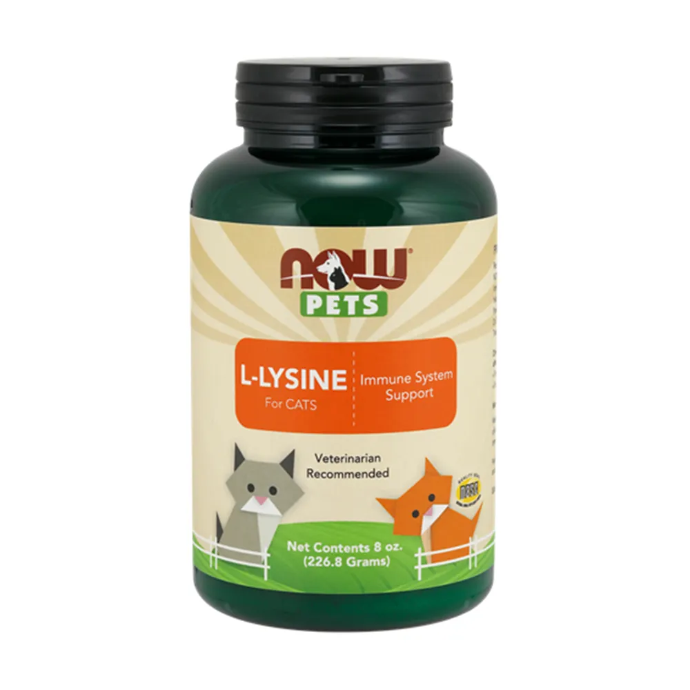 【NOW娜奧】貓用L-離胺酸粉 227g -4450-Now Foods(L-Lysine/配方不含麩質/貓離胺酸)