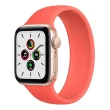 【Apple 蘋果】A級福利品 Watch SE LTE 40mm 智慧型手錶(贈市值2080超值配件大禮包)
