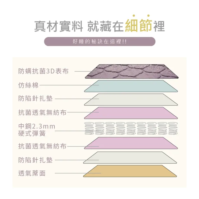 【藤原傢俬】雙人5尺冬夏兩用護背防螨抗菌10 cm彈簧床墊-硬