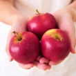 【FruitGo 馥果】紐西蘭Rockit樂淇蘋果-2顆裝 76g±10%x12管/箱_每管2顆(12管進口原箱_櫻桃蘋果)