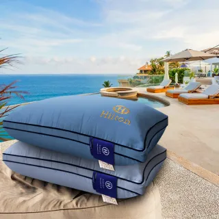 【Hilton 希爾頓】皇家頂級銀離子100支紗萊賽爾獨立筒枕/買一送一/兩色任選(萊賽爾枕/枕頭/助眠枕/舒柔枕)