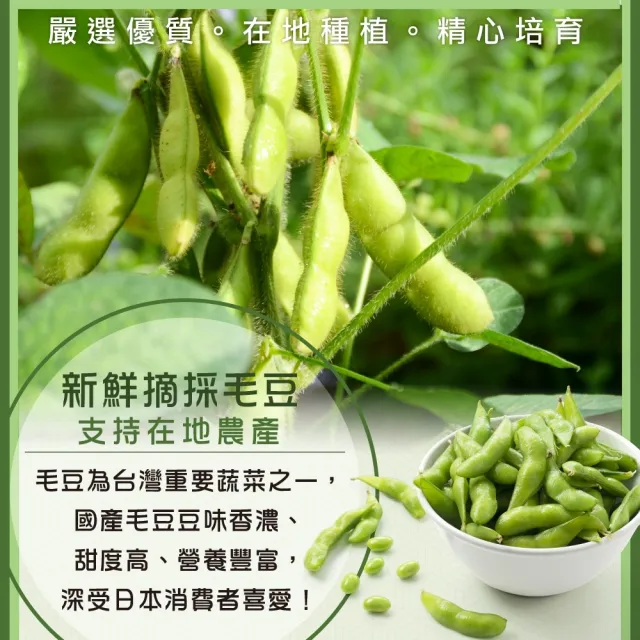 【WANG 蔬果】嚴選冷凍鹽味毛豆莢(5包_1000g/包)