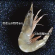 【元家】五星級蝦界LV藍鑽蝦1000g 單盒(特大30/40規格)