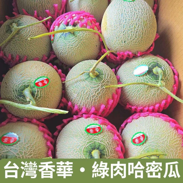 仙菓園 台灣香華 綠肉哈密瓜 四顆組 單顆約800g±10%