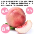 【WANG 蔬果】美國加州水蜜桃6顆x2盒(200g/顆_禮盒組/空運直送)