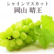 【WANG 蔬果】日本晴王麝香葡萄8-9串x1箱(5kg/箱_原裝箱_空運直送)