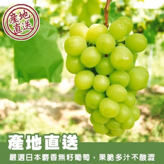 【WANG 蔬果】日本岡山縣晴王麝香葡萄2房禮盒x1盒(600-700g/串)無籽葡萄.水果禮盒.三節送禮