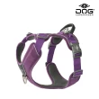 【DOG Copenhagen】Comfort Walk Pro Y型減壓胸背帶-XS(防暴衝旗艦款)