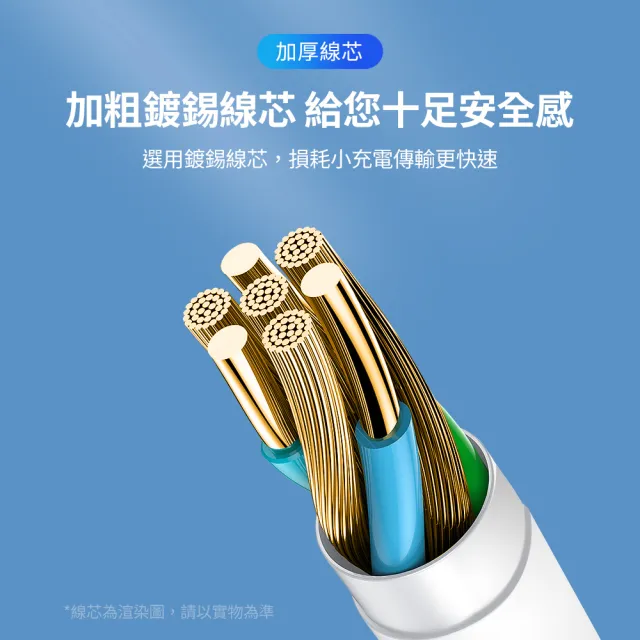 【NOKIA】Type-C + Lightning 100cm  iPhone快充充電傳輸線/雙線套組(E8101 Combo)