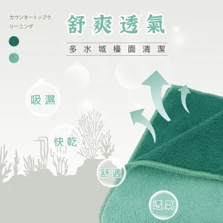【金獎】塵咬巾 珊瑚絨特厚抹布 30X38cm 1入(顏色隨機)