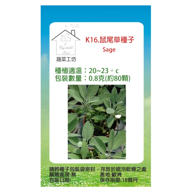 【蔬菜工坊】K16.鼠尾草種子