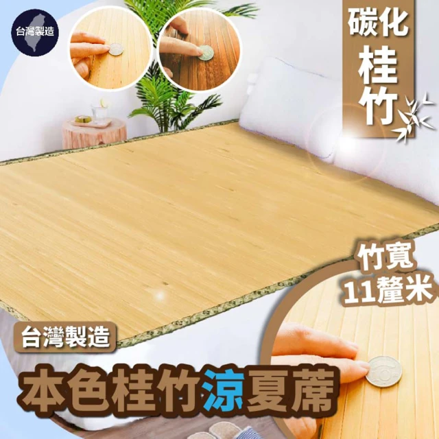 BOSS BEDDING 小老闆寢具 雙人加大6尺防蚊消暑碳