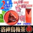 【蔘大王】洛神烏梅茶包X2組（6gX10入/組）(促進新陳代謝 開胃 油切解膩 天然快樂人身)