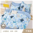 【這個好窩】台灣製100%精梳純棉床包枕套組(單人/雙人/加大)