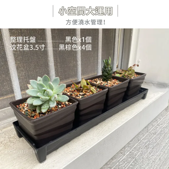 【超值典雅窗台花盆】波紋花盆x可排水托盤組合(盆厚耐用 多肉 觀葉 陽台)