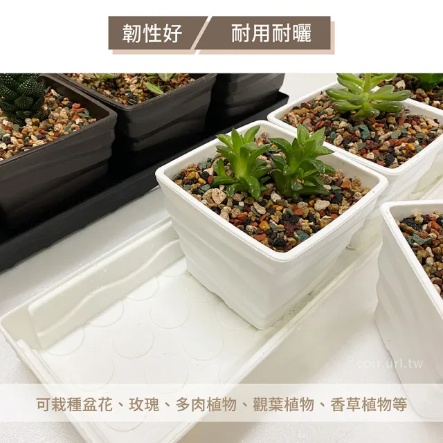 【瘋狂植物社】窗台專用托盤組合-汶花盆x窗台整理托盤(仿瓷盆質感、造型優美、盆厚耐用)