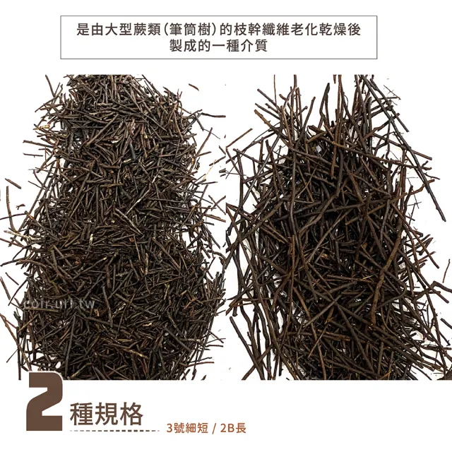 【瘋狂植物社】蛇木屑2公升裝-3號細短(可混合土壤調整特性)