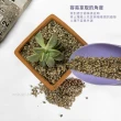 【日本】多肉植物專用培養土2L+贈送筒形花土鏟(瘋狂植物社)