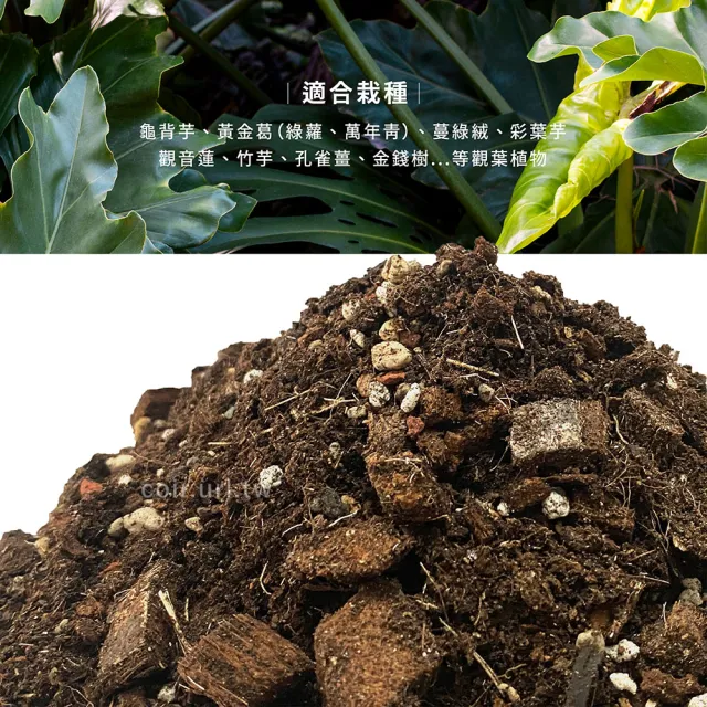 【瘋狂植物社】觀葉植物專用栽培土10公升裝(雨林植物配方、室內培養土)