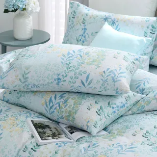 【HongYew 鴻宇】300織美國棉 信封式枕套-多款任選(2入)