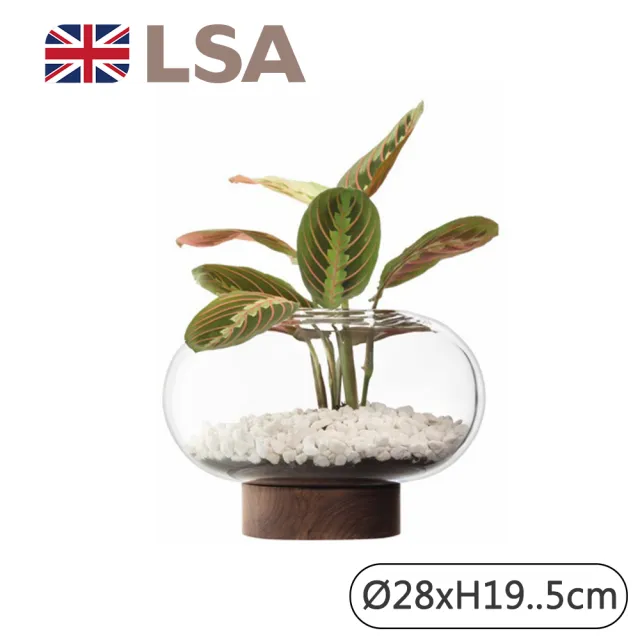 【LSA】OBLATE橢圓花瓶附胡桃木底座28cm-透明(英國手工玻璃家居藝品)