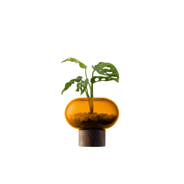【LSA】OBLATE橢圓花瓶附胡桃木底座15cm-琥珀色(英國手工玻璃家居藝品)