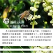 【情人蜂蜜】台灣天空森林蜜700g(MOMO獨家限量)