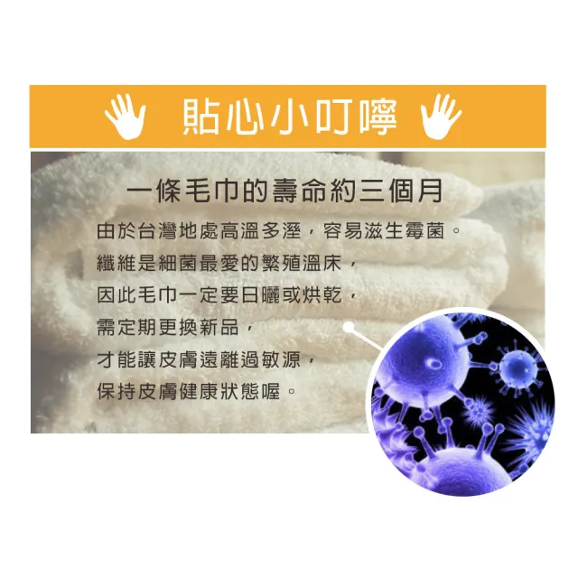 【梁衫伯】12入-台灣製棉大師無染紗毛巾(無染紗純棉)