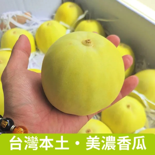 【仙園】溫室美濃香瓜 單顆約270g 原箱裝6kg 一箱約20~22顆(冷藏配送)