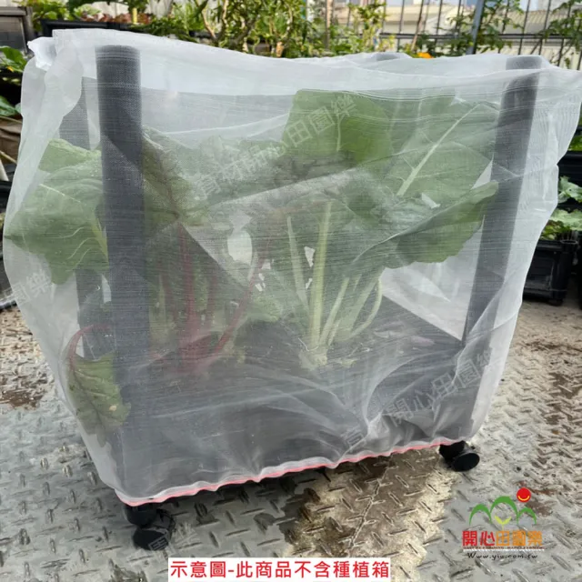 【田園樂】育材單箱防蟲網-附接桿12支無拉鍊 不含種植箱(適合長寬尺寸45*30cm種植箱用)