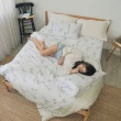 【BUHO布歐】100%TENCEL天絲床包枕套組-單人(多款任選)