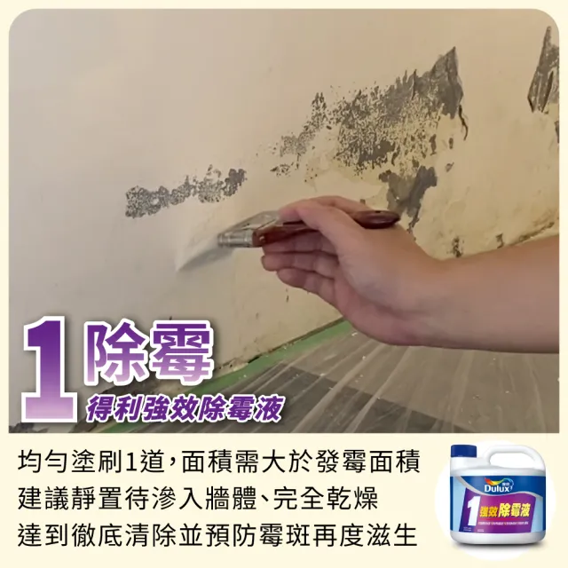 【得利】Dulux官方旗艦店★6坪 健康居乳膠漆+壁癌包組合(油漆 壁癌)