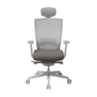 【SIDIZ】T50 高階人體工學椅(5色可選 辦公椅 電腦椅 透氣網椅)
