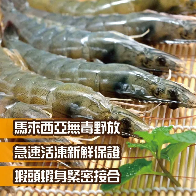 【鮮綠生活】無毒野放活凍超大白蝦 4盒(600g±10%/盒 約24-30尾/盒)