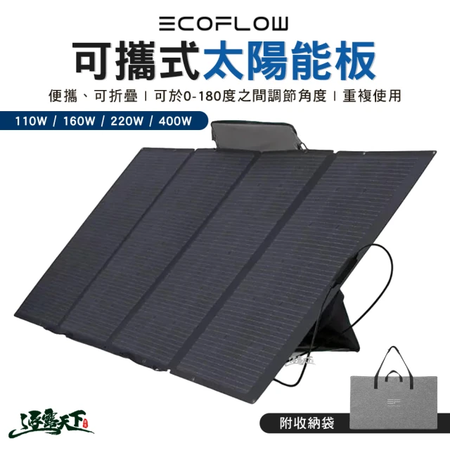 ECOFLOW 太陽能板 220W(充電板 可攜式 露營 逐