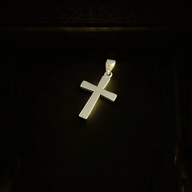 Eli Jewelry 日本進口正Pt950鉑金 耶穌十字架