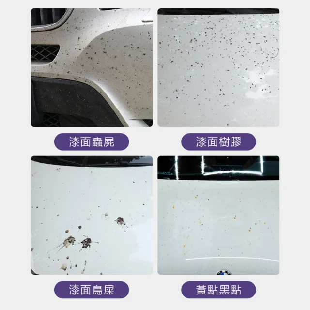 【西格傢飾】C19蟲屍清潔劑(500ML/台灣製造/軟化蟲屍/清潔鳥屎/去除果漿)