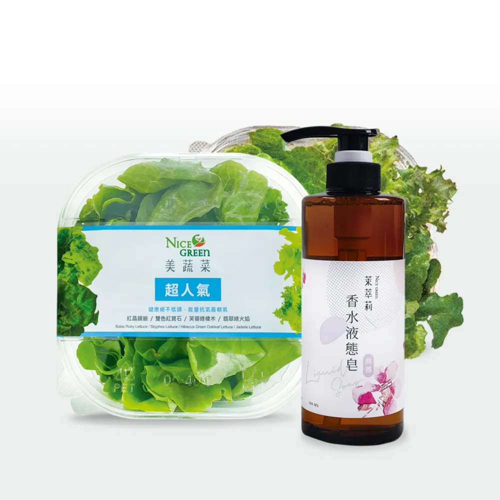 【NICE GREEn 美蔬菜】美蔬菜2入+香水液態皂2瓶(生菜 沙拉 萵苣 香水液態皂)